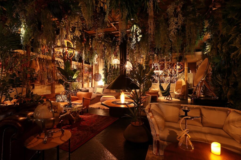 【中目黒】都会の喧騒を忘れるボタニカルな「秘境」。完全個室で愉しむ高級シーシャのご案内